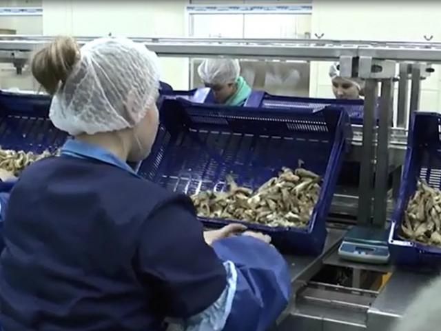 Фасовочный конвейер  в Брянске