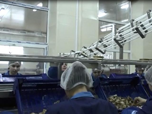Гравитационная направляющая для пустой жестяной тары в Брянске